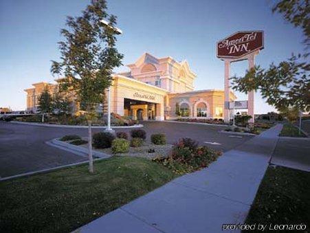 Hampton / Airport Hotel Idaho Falls